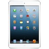 Apple iPad mini 16Gb Wi-Fi + Cellular черный - Белая Калитва