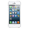 Apple iPhone 5 16Gb black - Белая Калитва