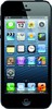 Apple iPhone 5 16GB - Белая Калитва