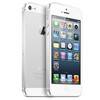 Apple iPhone 5 64Gb white - Белая Калитва